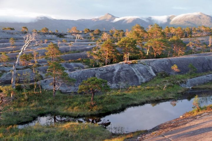 norvège, 80 jours voyages
