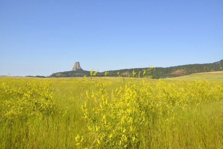 Devils Tower - Sylvain Chermette - 80 Jours Voyages