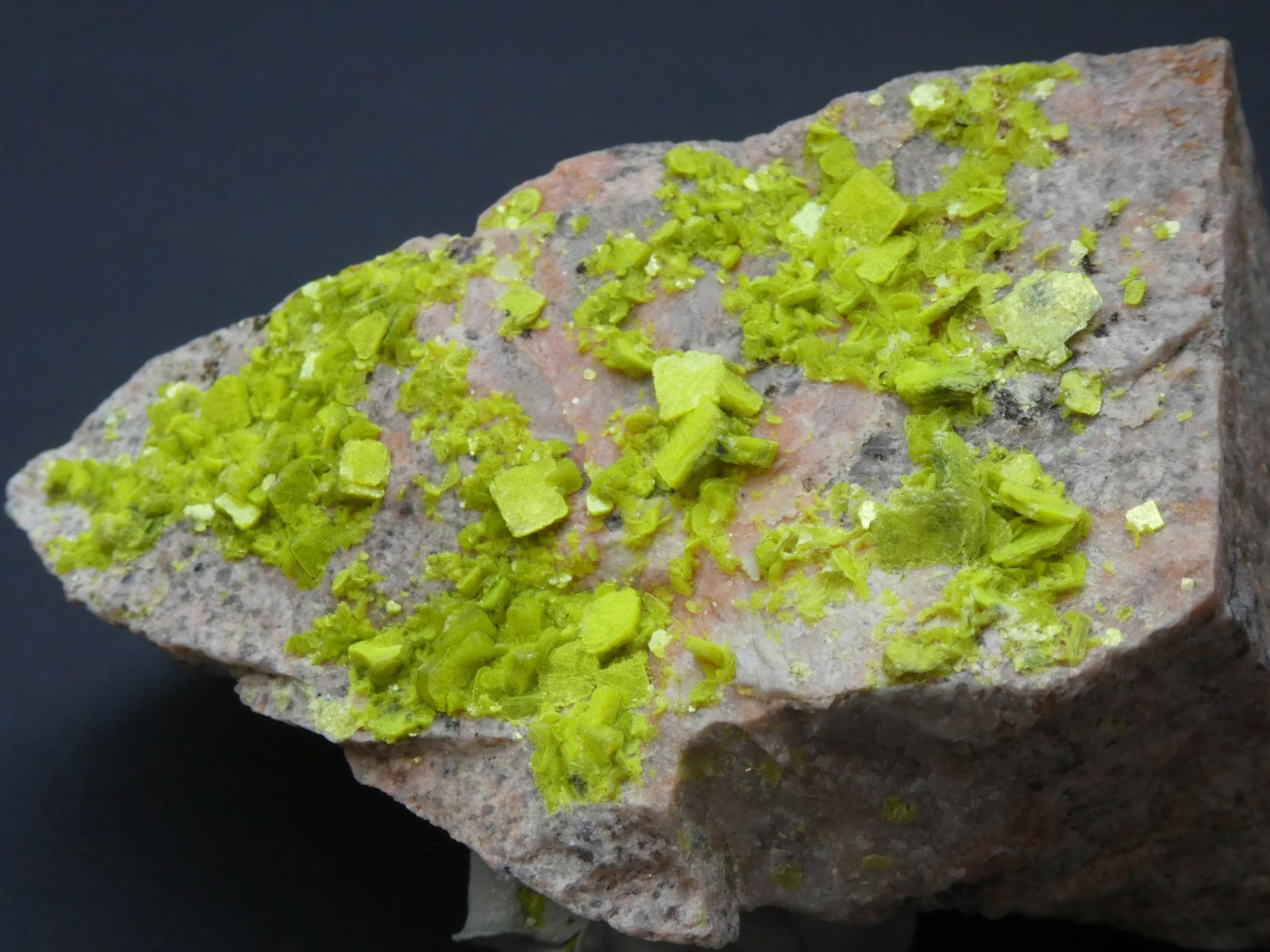 Minéral Autunite, St.Priest-la-Prugne,Loire,France_Philippe Thiran