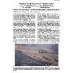 Article LAVE Islande Reykjanes
