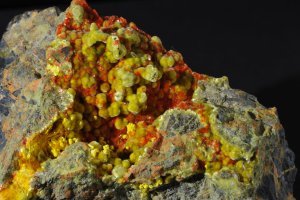 Urophane jaune